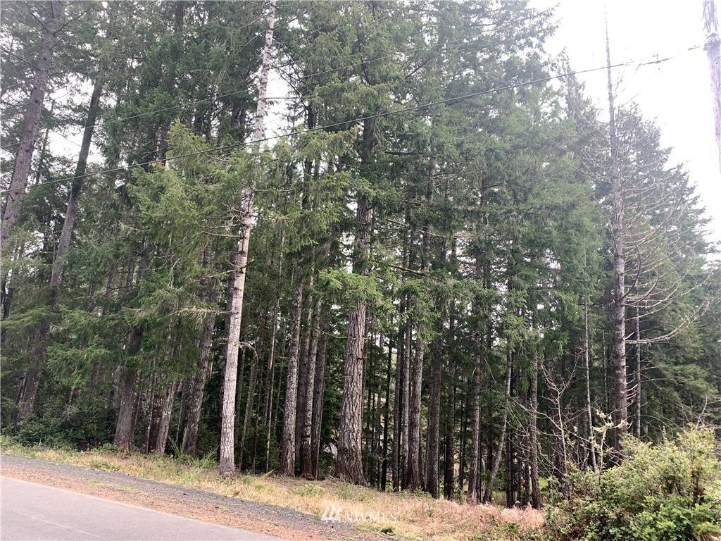 Belfair, WA 98528,2341 E Trails End DR