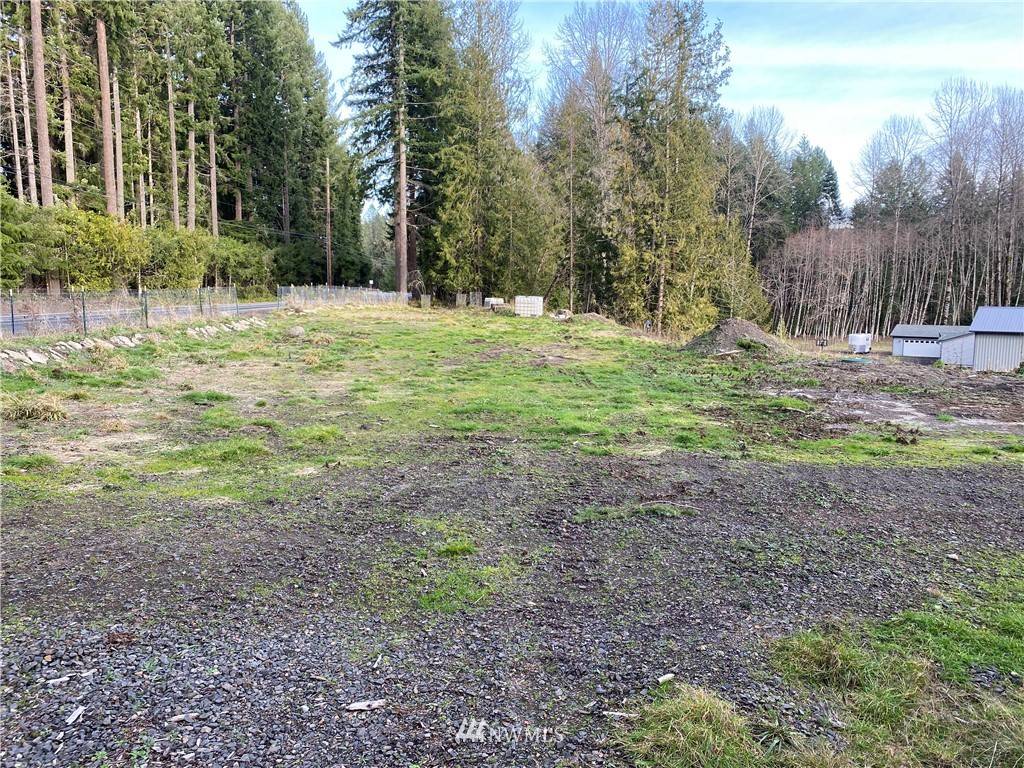 Toutle, WA 98649,1368 S Toutle RD