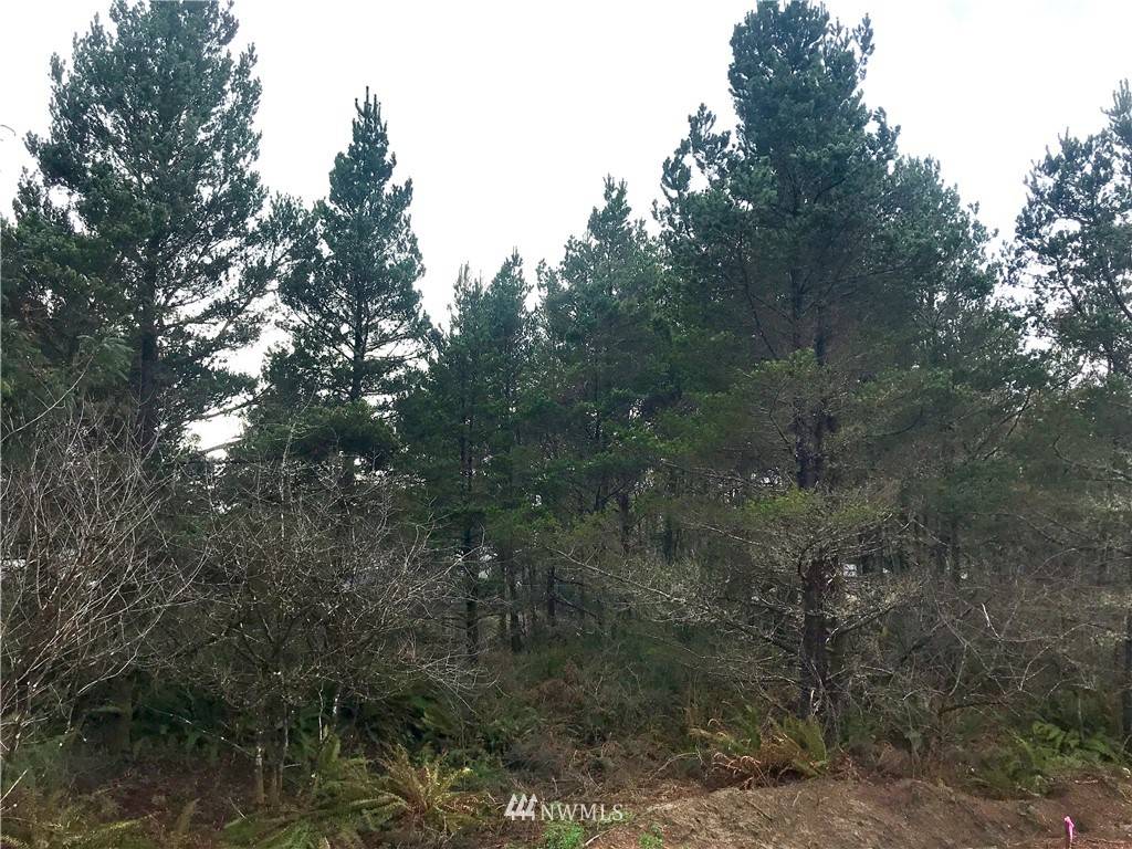 Grayland, WA 98547,0 xx Sandy DR