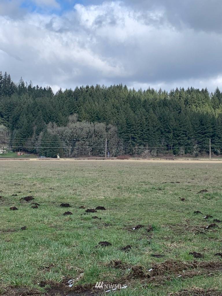 Mossyrock, WA 98565,0 Lot 5 W Mossyrock RD