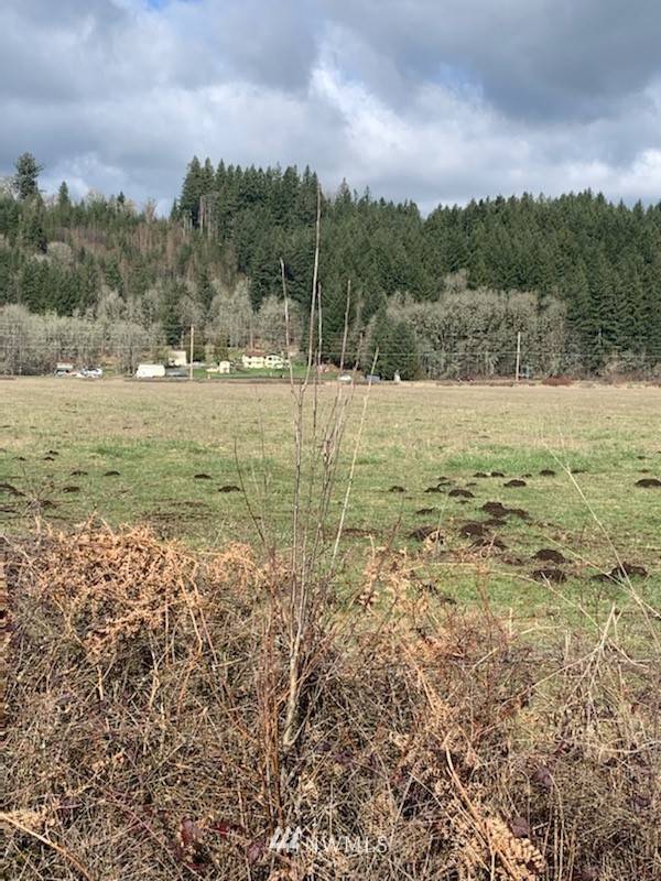 Mossyrock, WA 98565,0 Lot 7 W Mossyrock RD