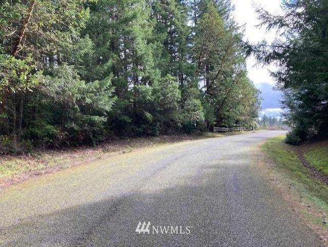 Anderson Island, WA 98303,12615 Silver DR