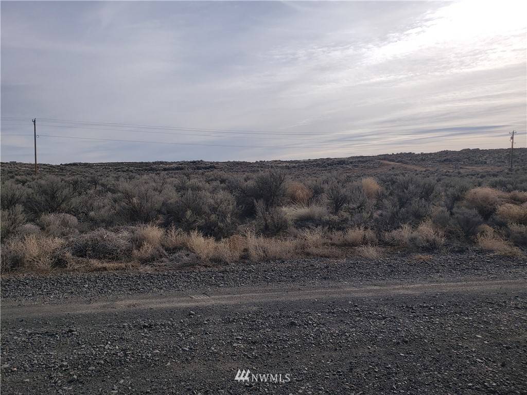 Palisades, WA 98823,0 Lot 11 Snaffle CT