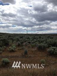 Palisades, WA 98823,0 Lot 11 Snaffle CT