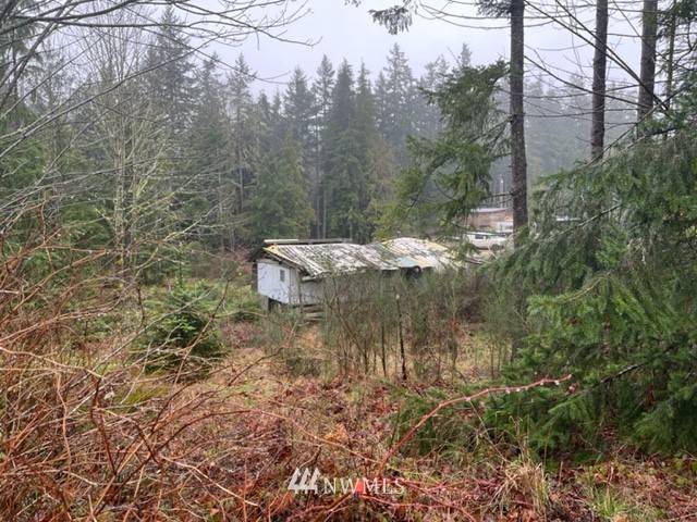 Port Ludlow, WA 98365,1420 Thorndyke RD