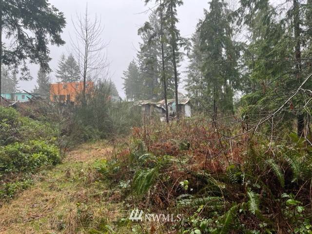 Port Ludlow, WA 98365,1420 Thorndyke RD