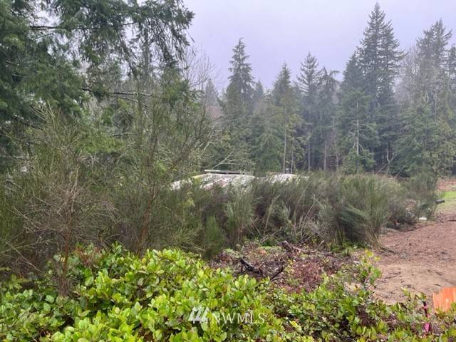 Port Ludlow, WA 98365,1420 Thorndyke RD