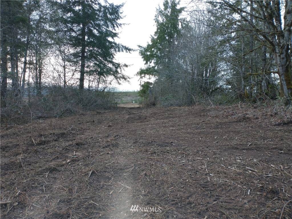 Vader, WA 98593,203 Awmiller RD