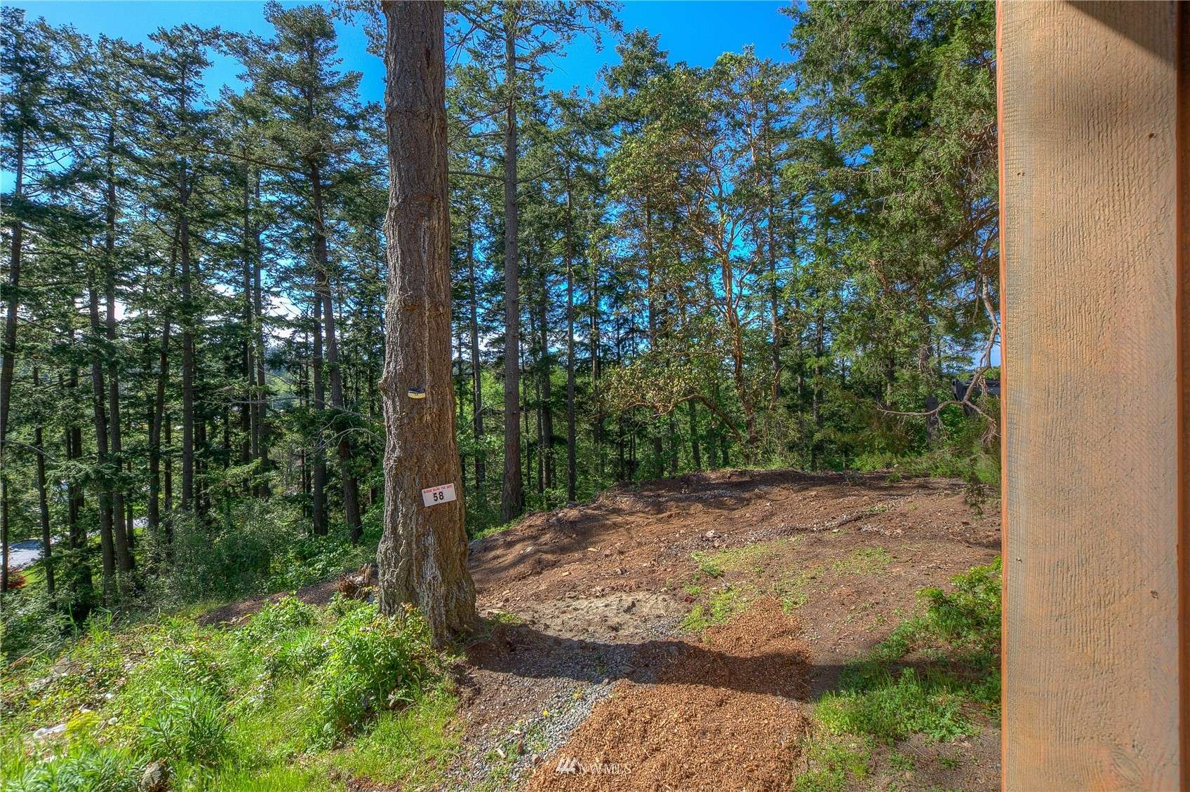 Orcas Island, WA 98245,52 Victory Hill LN