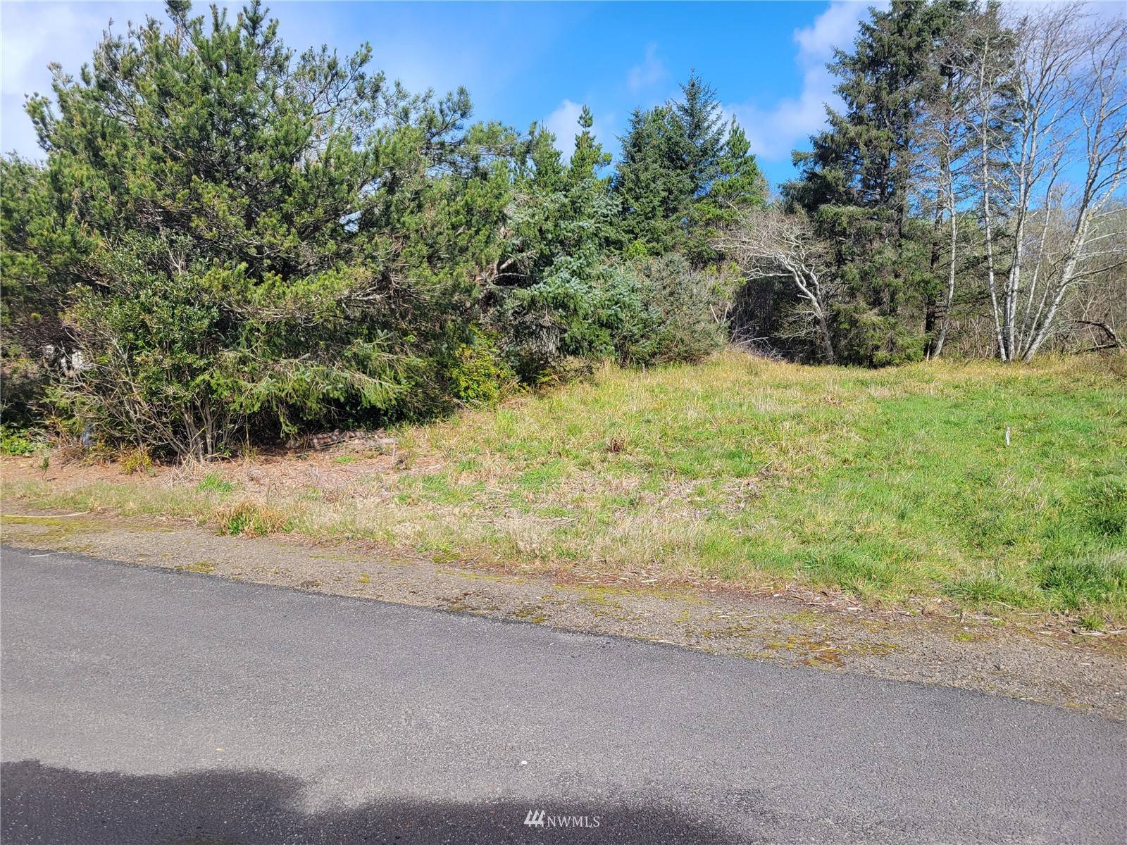 Ocean Park, WA 98640,807 357th ST