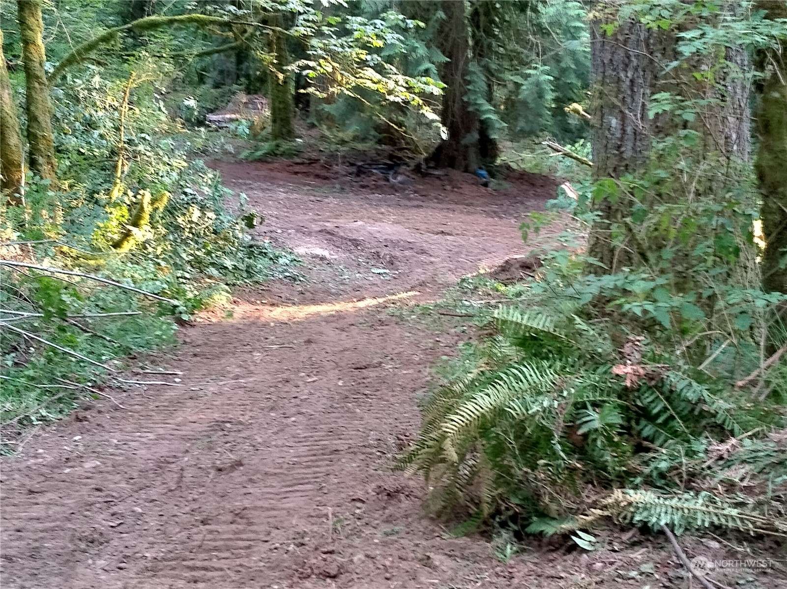 Issaquah, WA 98027,14615 274th AVE SE