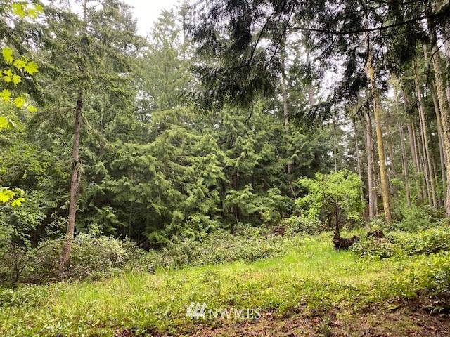 Center Island, WA 98221,0 Lot 127 Haidah ST