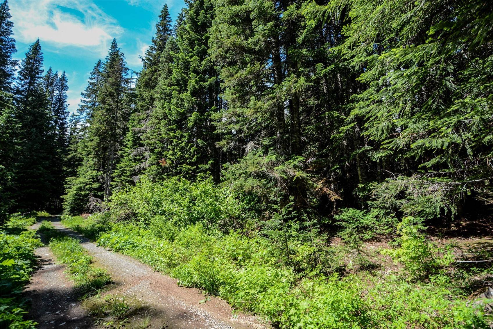 Snoqualmie Pass, WA 98068,94 Huckleberry Peak RD