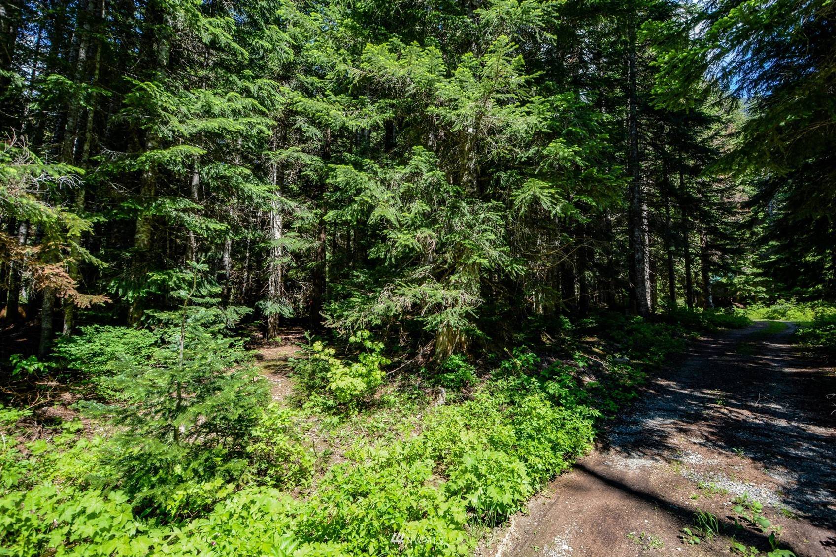 Snoqualmie Pass, WA 98068,94 Huckleberry Peak RD