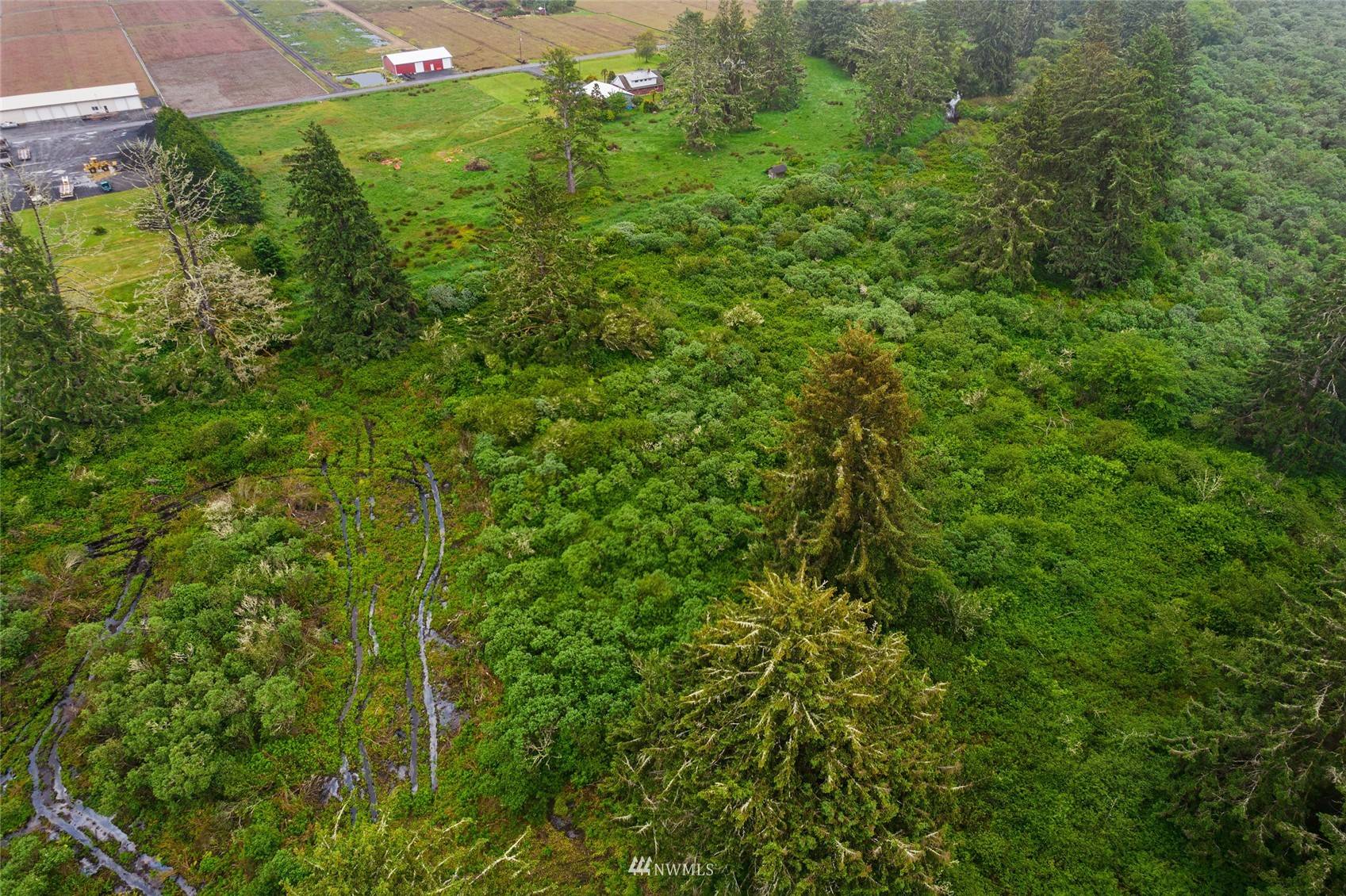 Grayland, WA 98547,0 X Cranberry Fields #TR 44