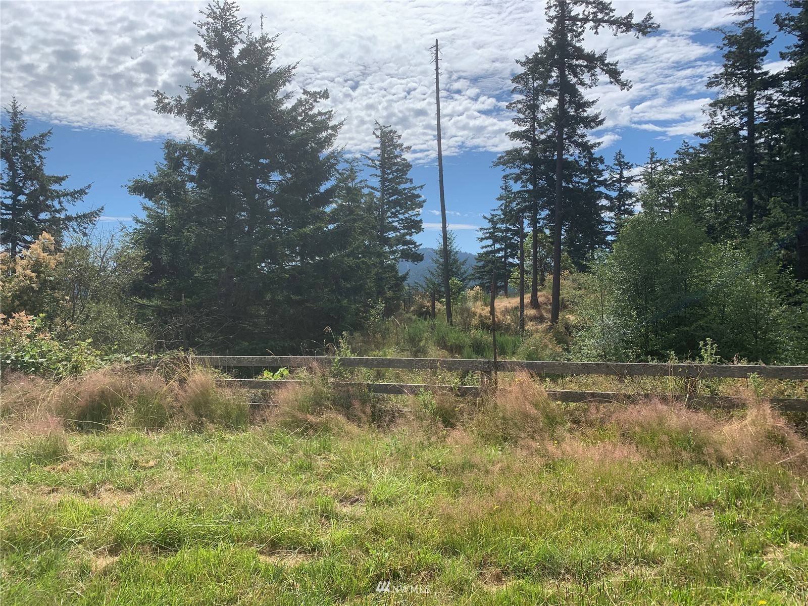 Orcas Island, WA 98245,393 Pleasure Horse RD