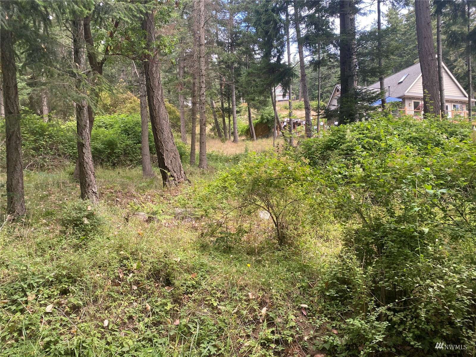 Orcas Island, WA 98245,0 Lot 50 Ocean Mist