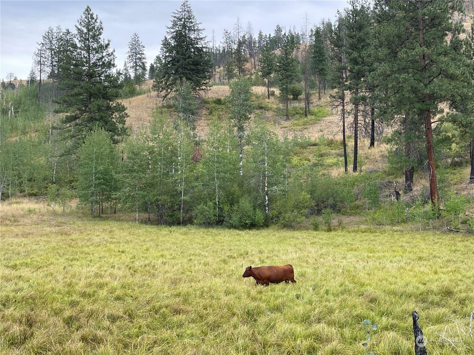 Okanogan, WA 98840,90 Woodward RD