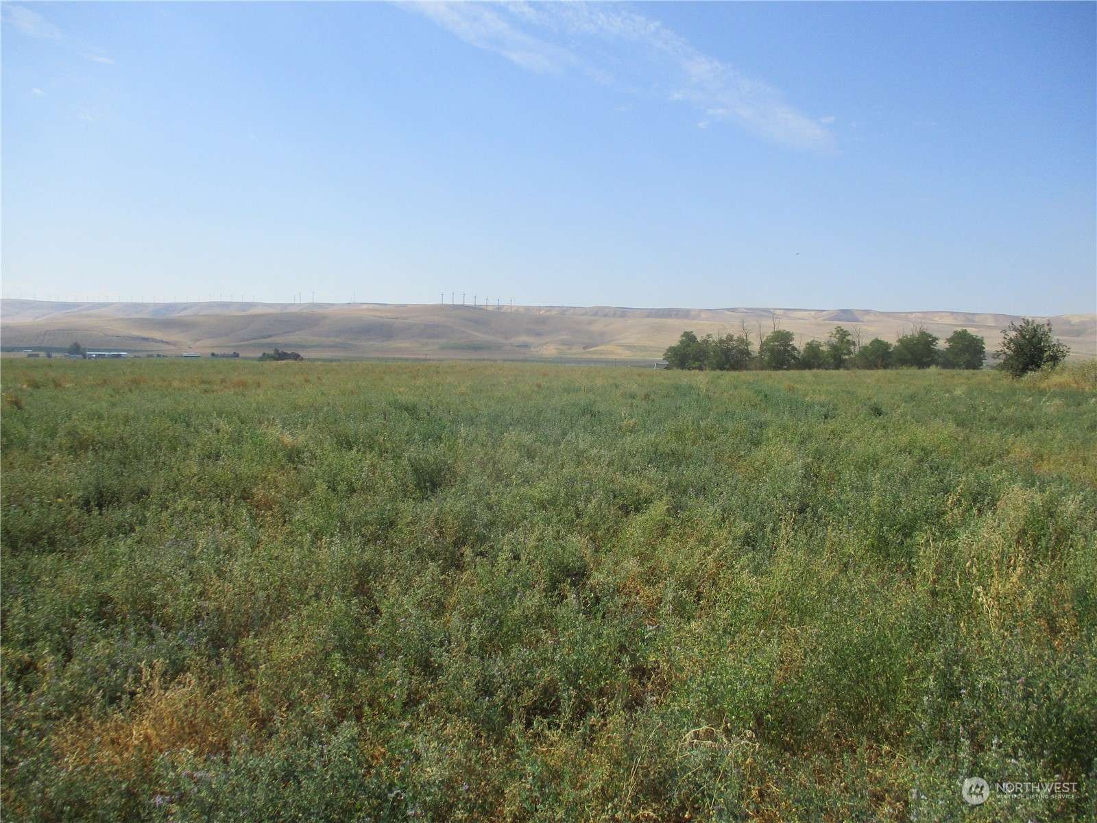 Touchet, WA 99360,0 Lot 54 Thurber RD