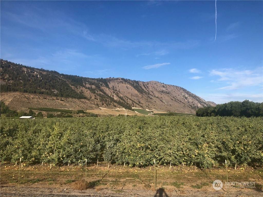 Brewster, WA 98812,29 Buckingham Alley