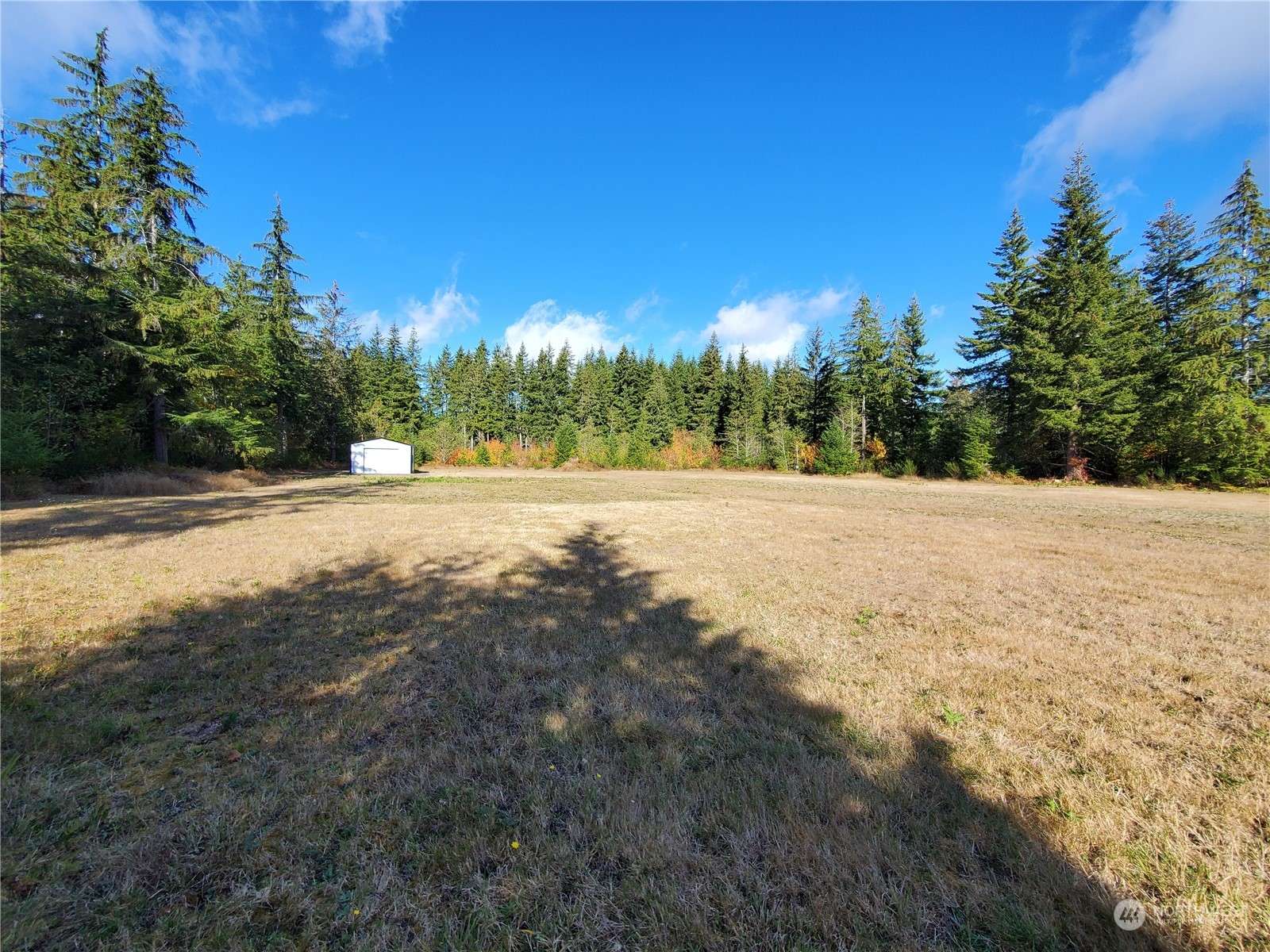 Forks, WA 98331,353 Sawyer WAY