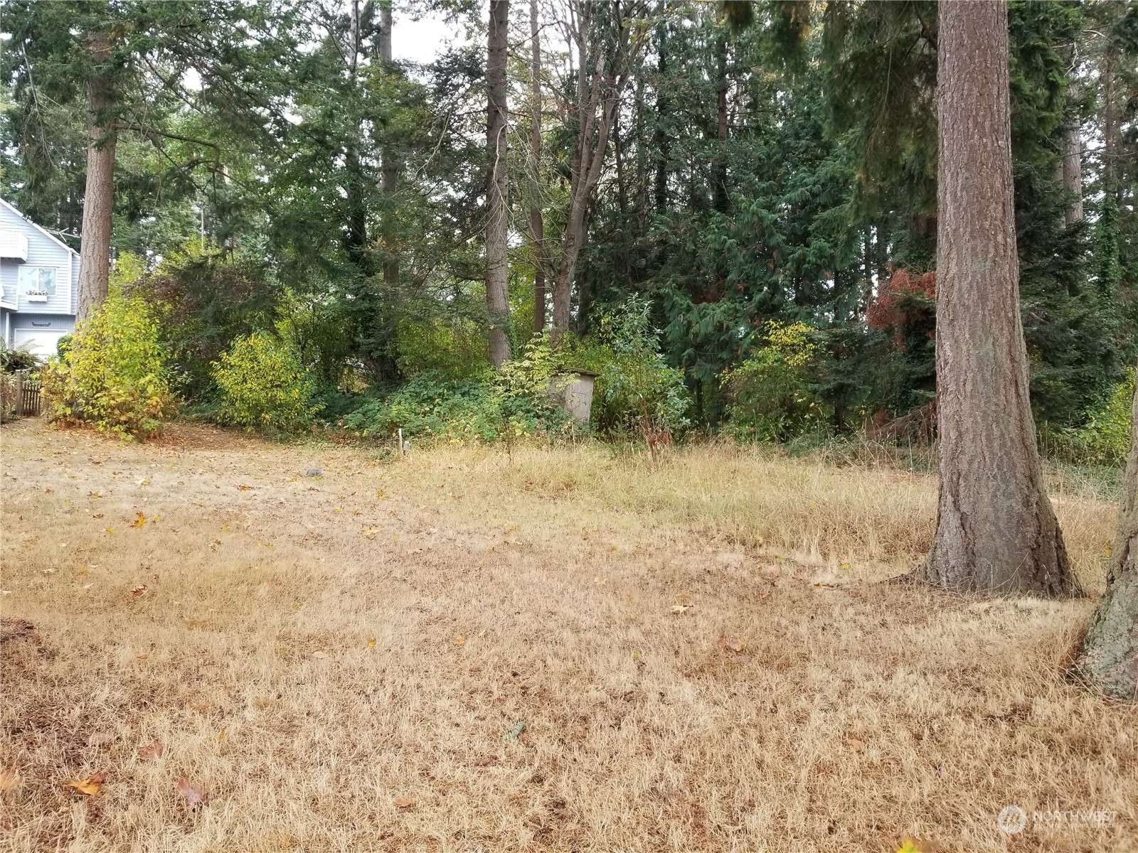 Camano Island, WA 98282,1397 Blackcap Alley