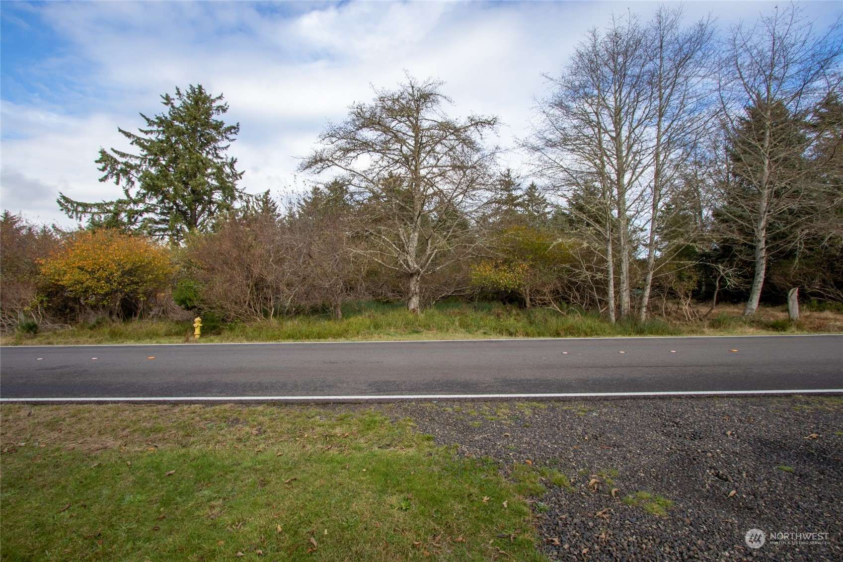 Ocean Shores, WA 98569,956 Mt Olympus AVE SE