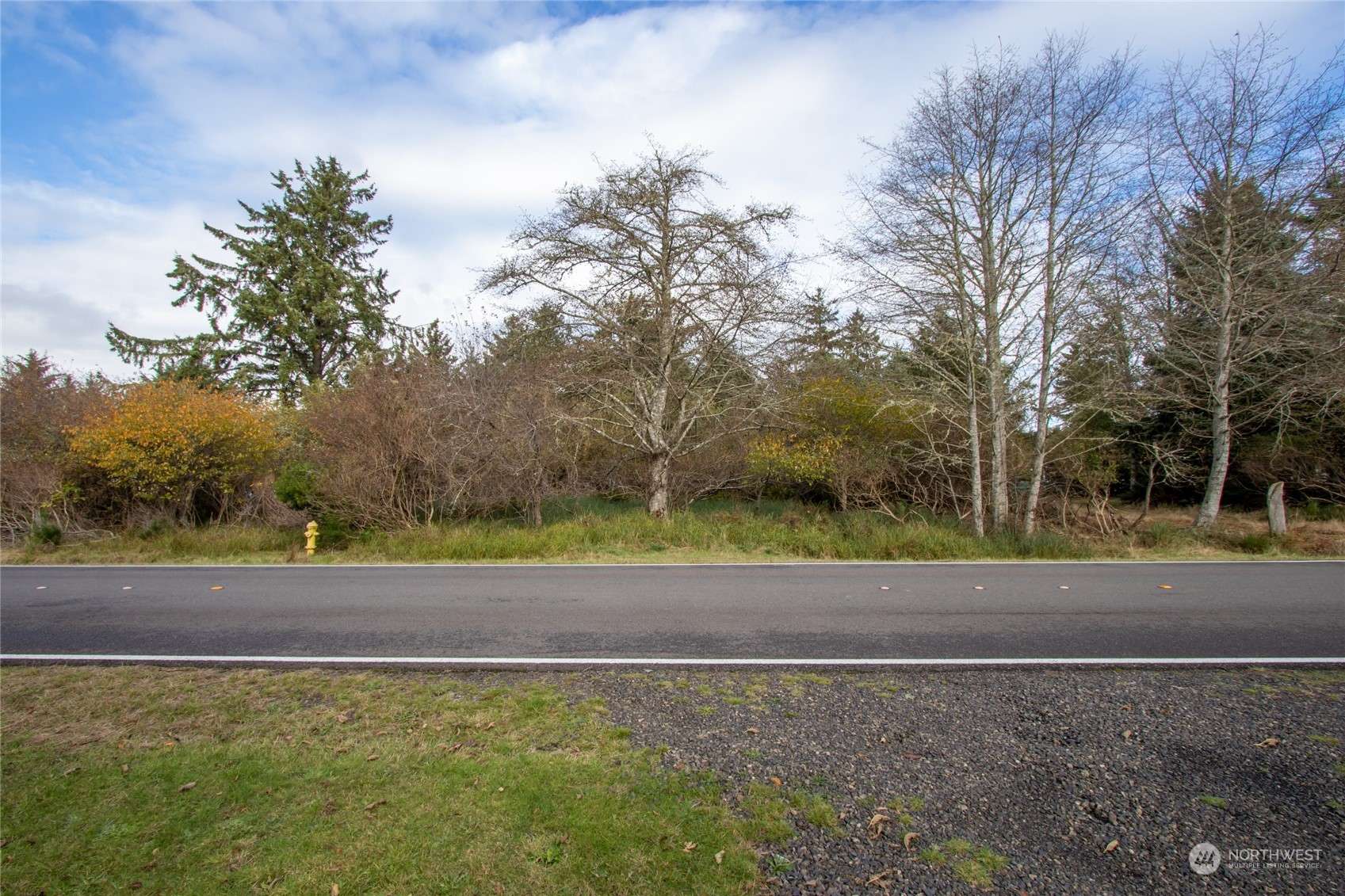 Ocean Shores, WA 98569,960 Mt Olympus AVE SE