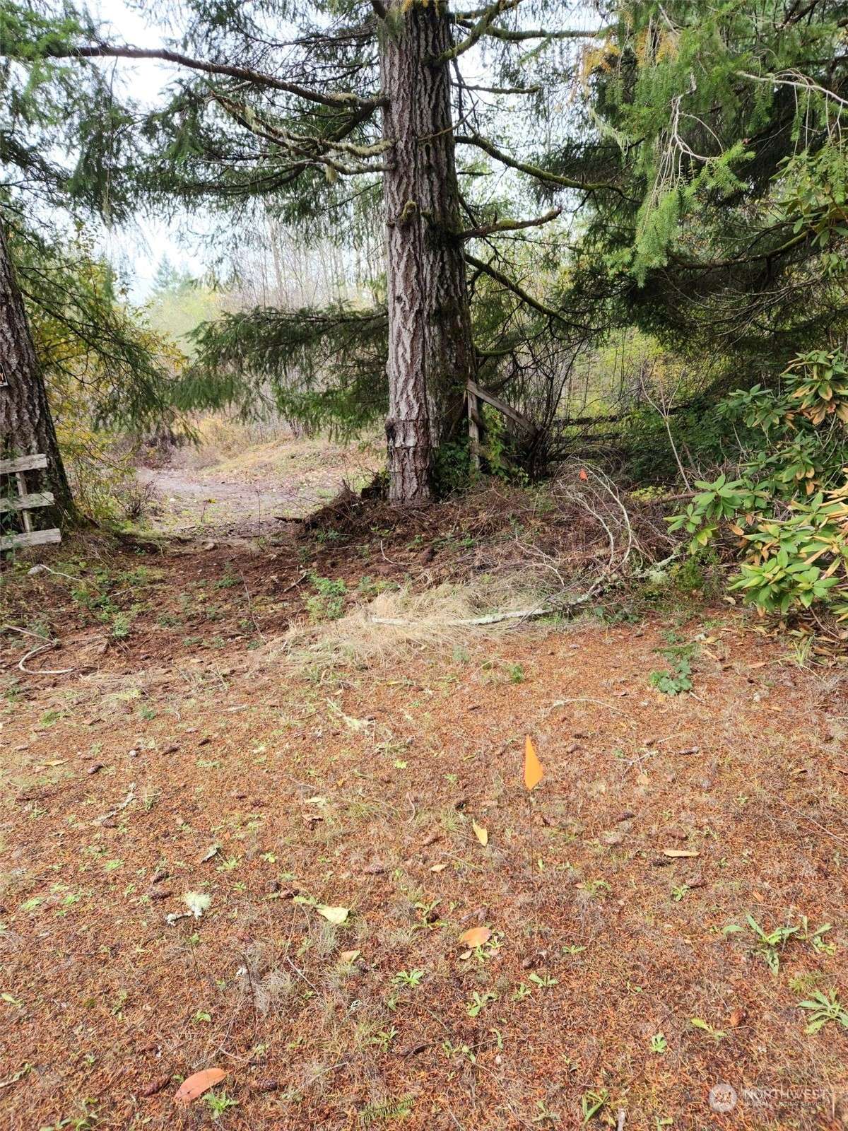 Shelton, WA 98584,2 Acres W Cloquallum RD