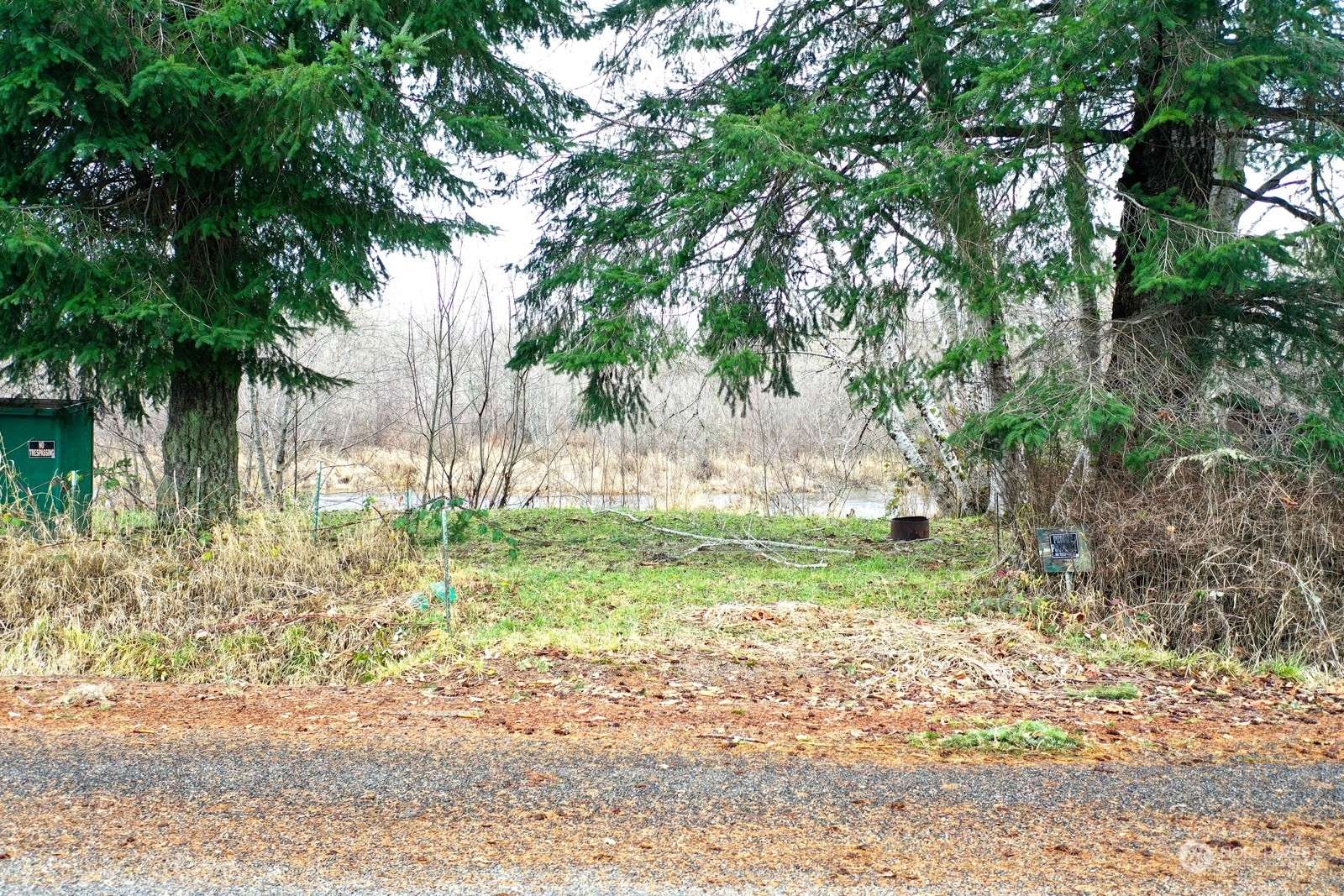 Montesano, WA 98563,38 Lot Satsop Riviera LOOP