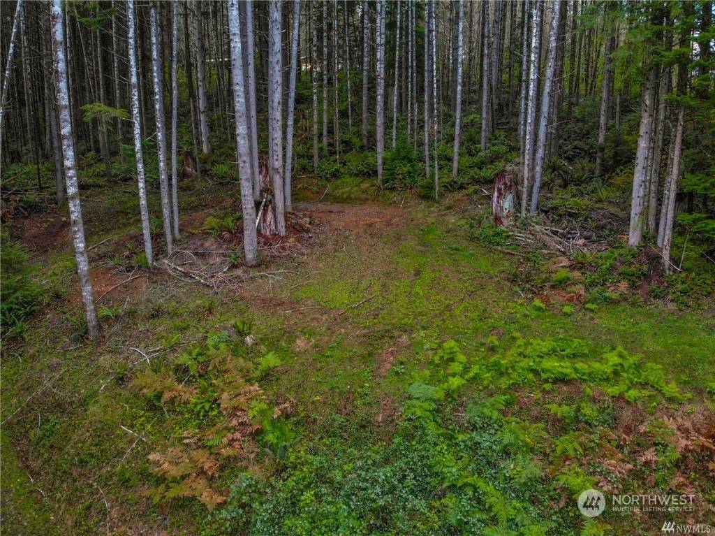 Longview, WA 98632,144 Bison Run