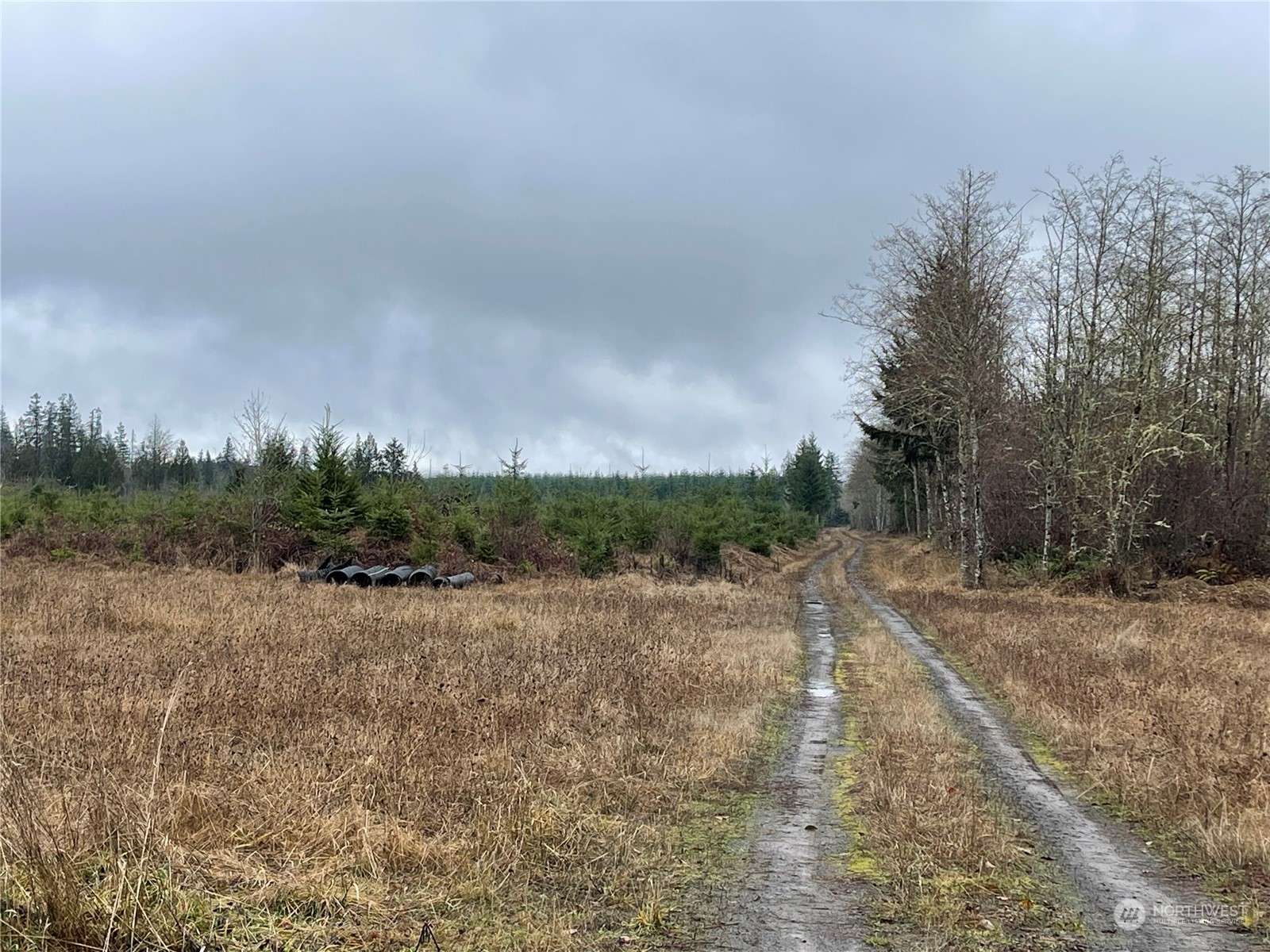 Onalaska, WA 98570,1 xx Oppelt RD