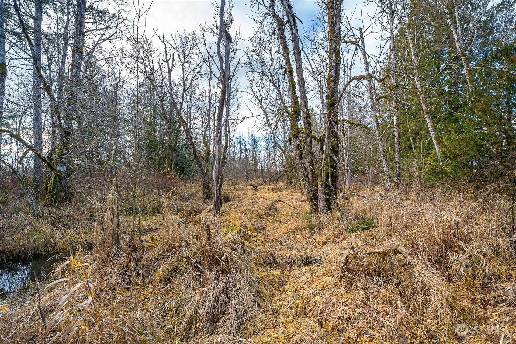 Chehalis, WA 98532,532 Hwy 12 #Lot 1