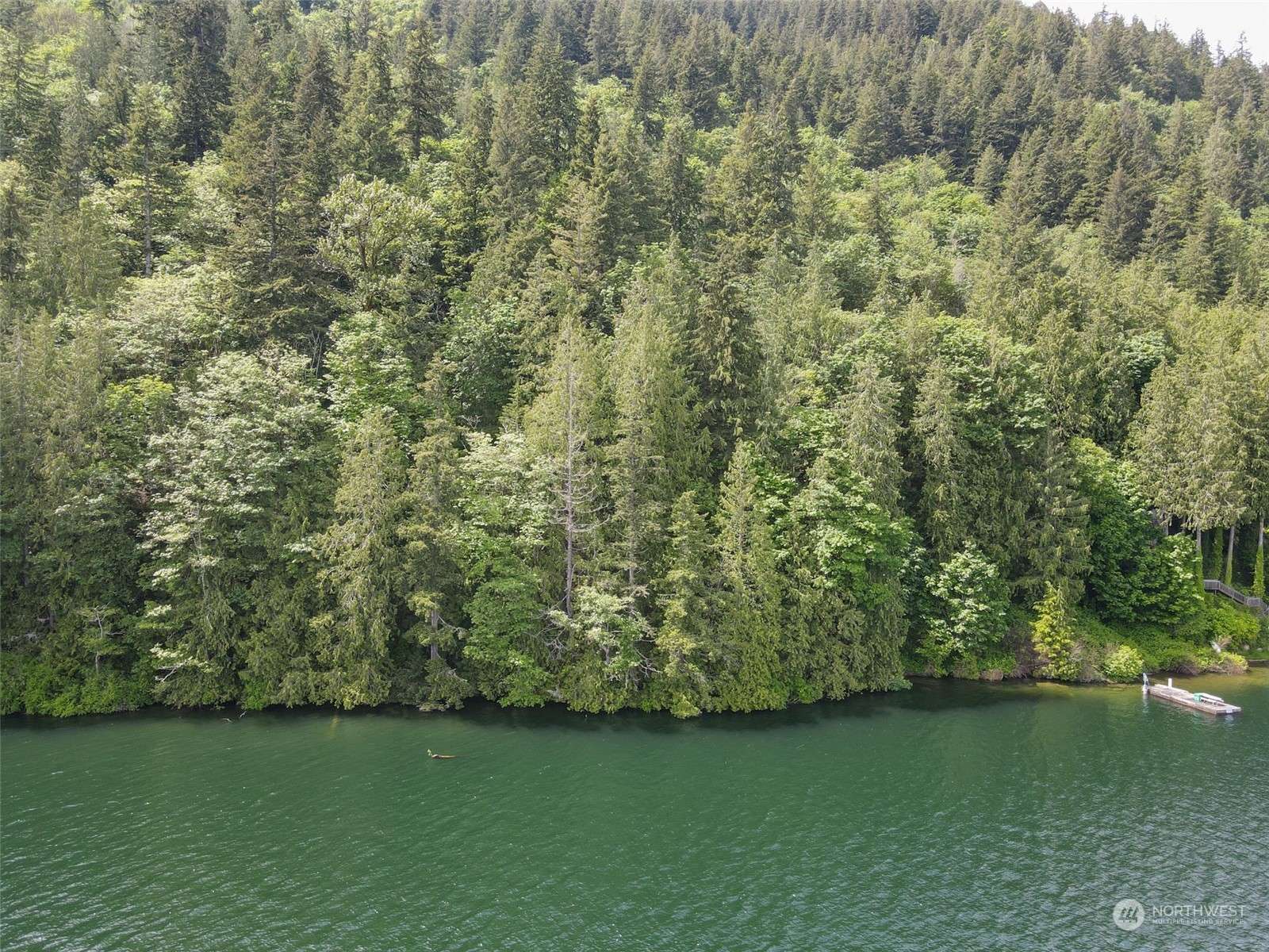 Sedro Woolley, WA 98284,0 Lot 19 Lake Whatcom BLVD