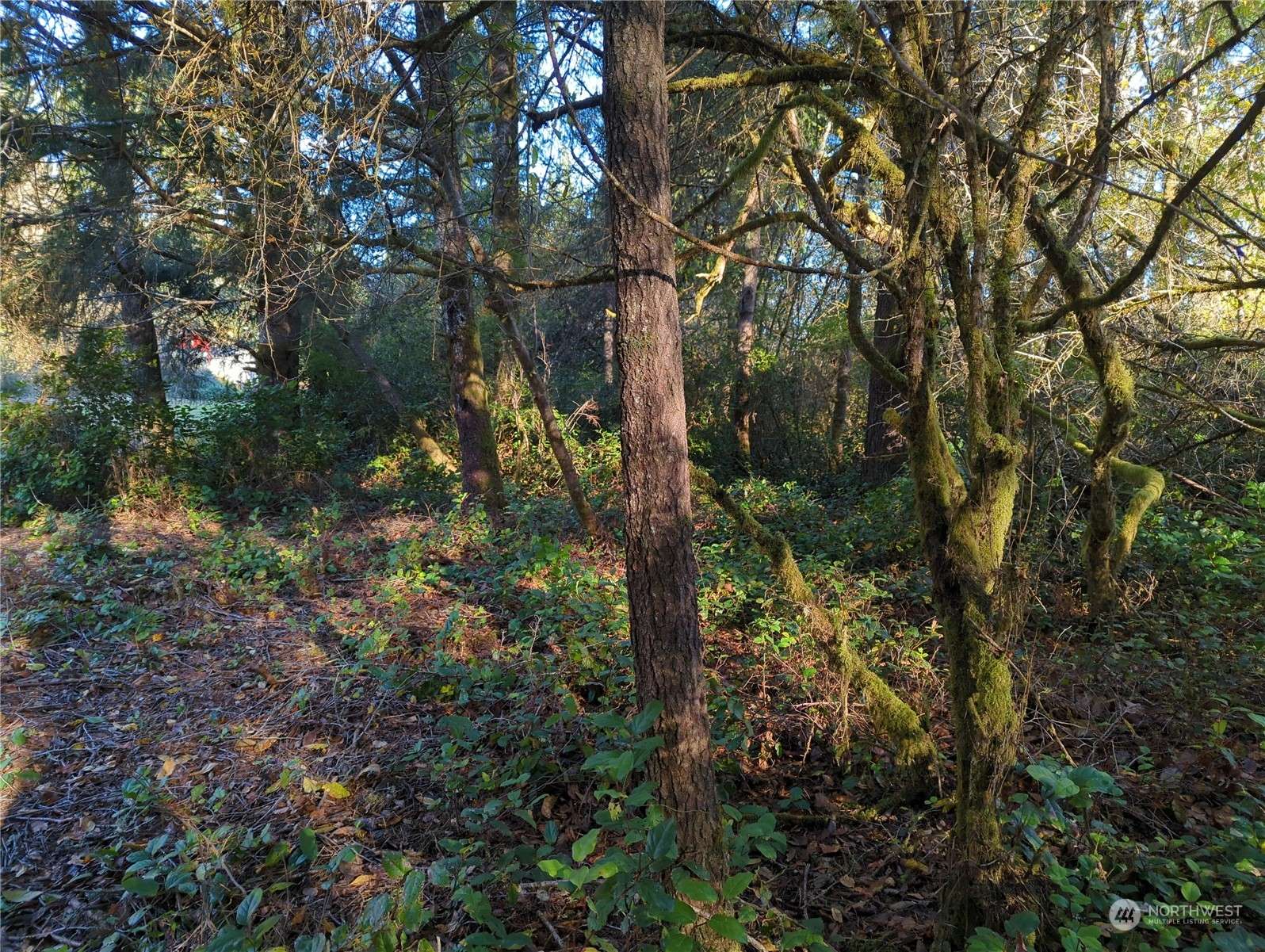 Ocean Park, WA 98640,0 Lot17-21 T PL