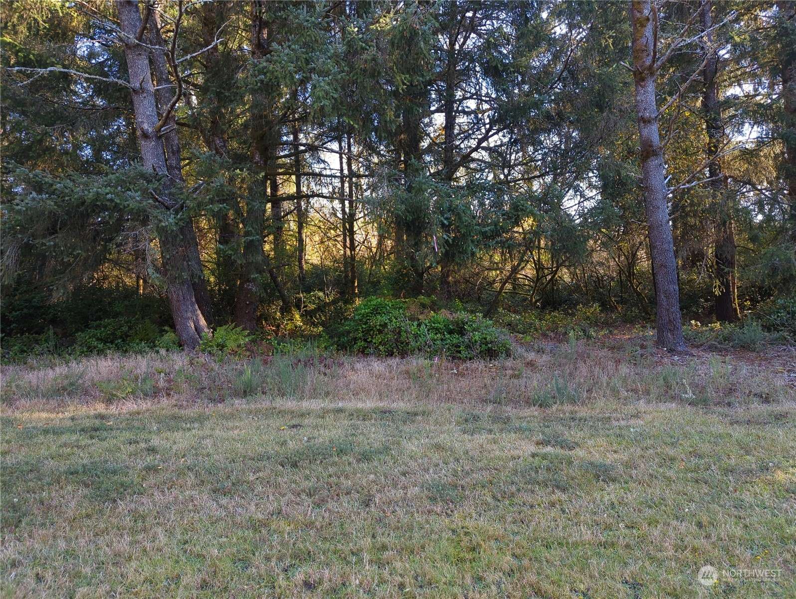 Ocean Park, WA 98640,0 Lot17-21 T PL