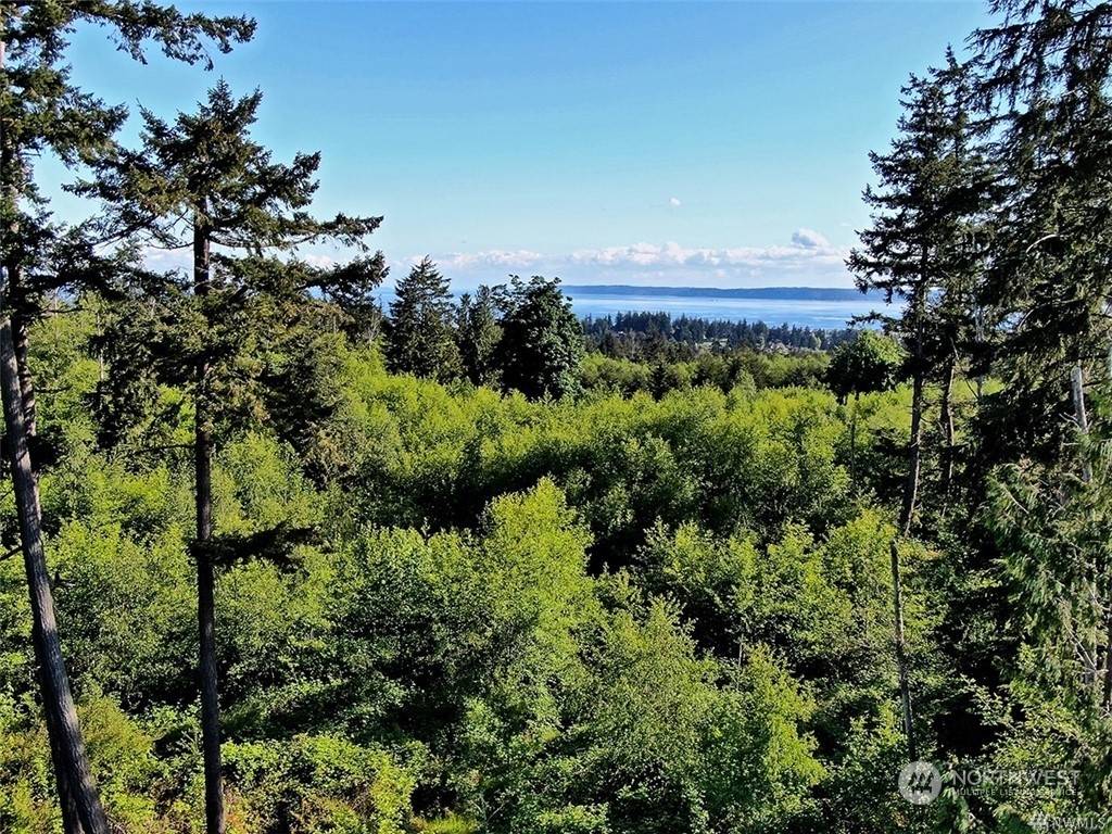 Langley, WA 98260,0 Lot 4 Thompson RD