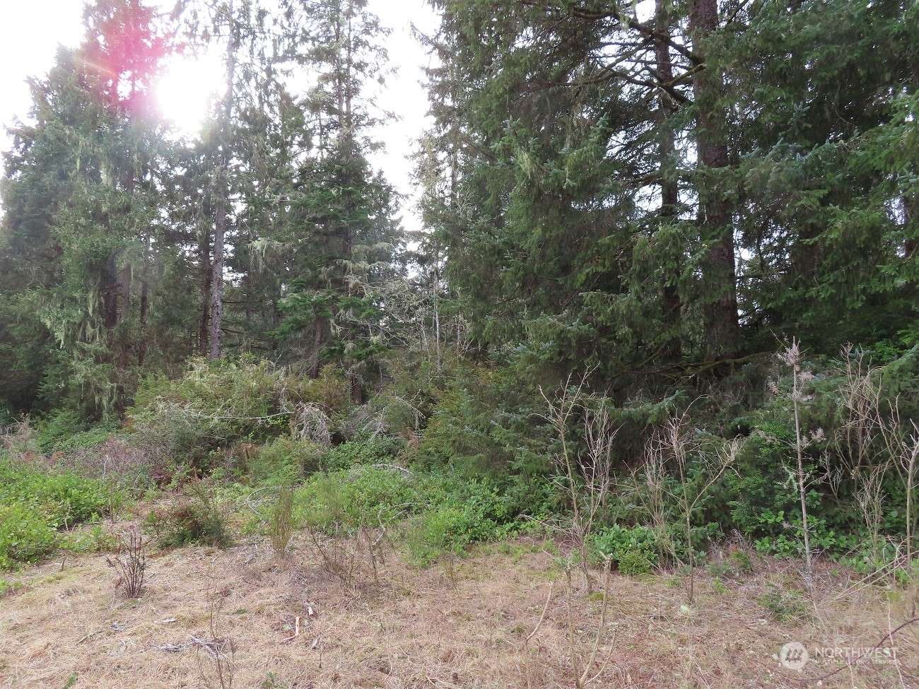 Ocean Park, WA 98640,0 Lot 2 Sandridge RD