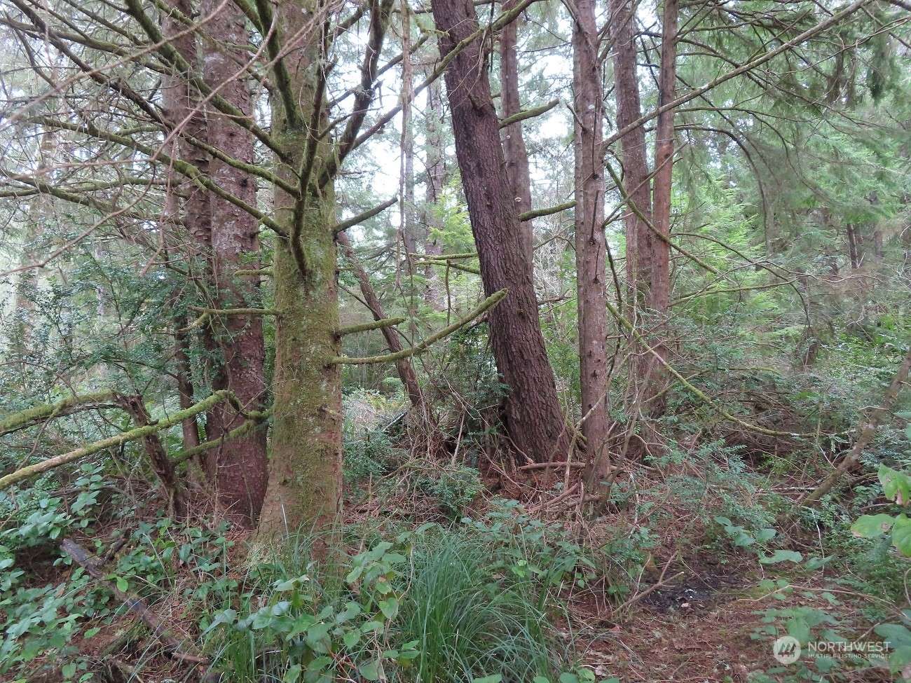 Ocean Park, WA 98640,0 Lot 2 Sandridge RD