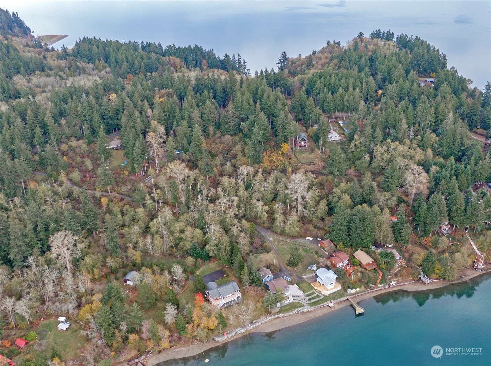 Anderson Island, WA 98303,12410 Cole Point DR