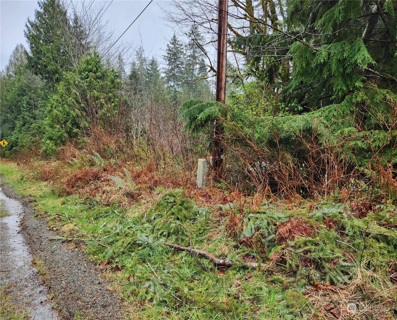 Brinnon, WA 98320,0 Duckabush RD
