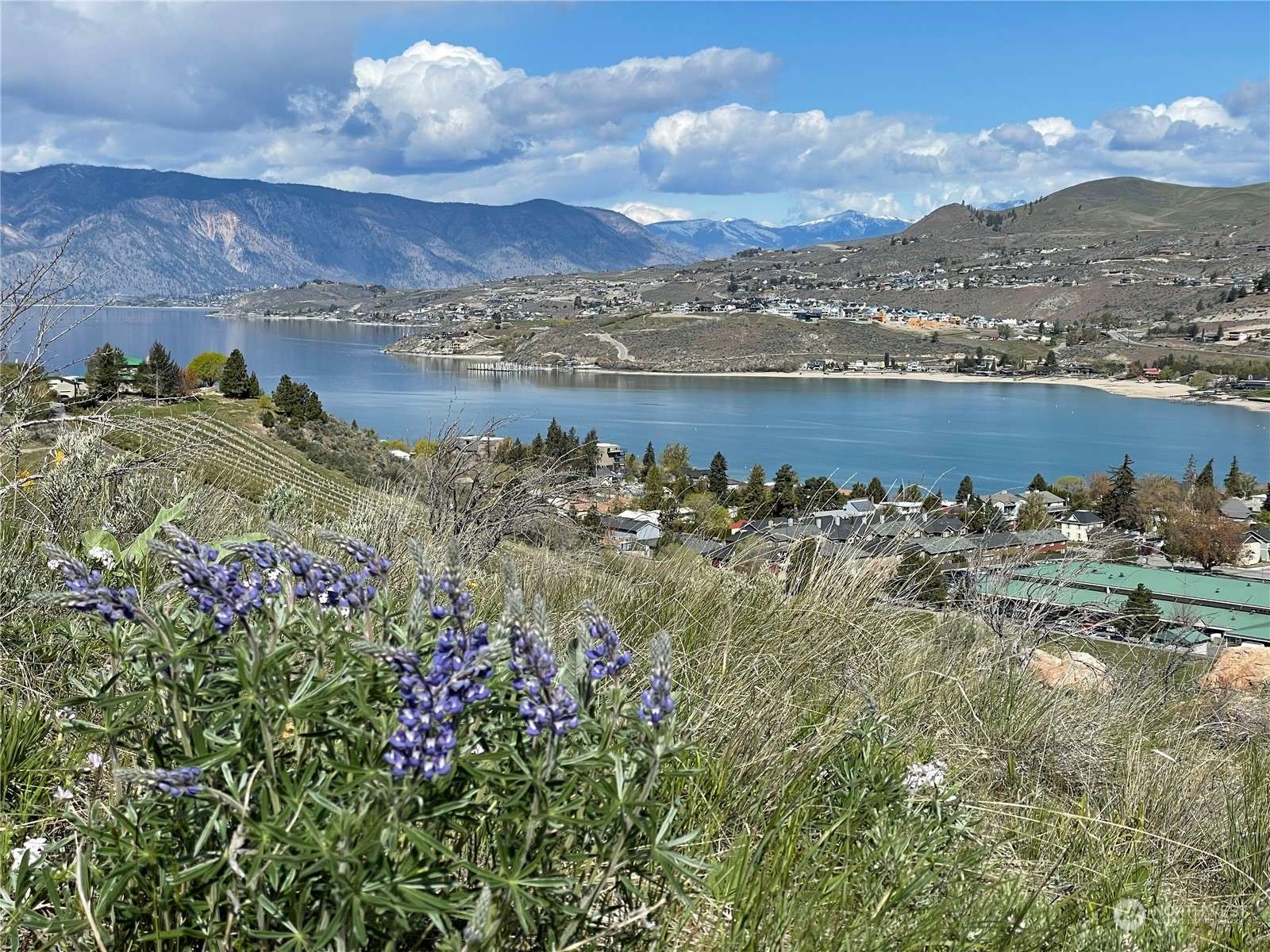 Chelan, WA 98816,0 NNA E Iowa ST