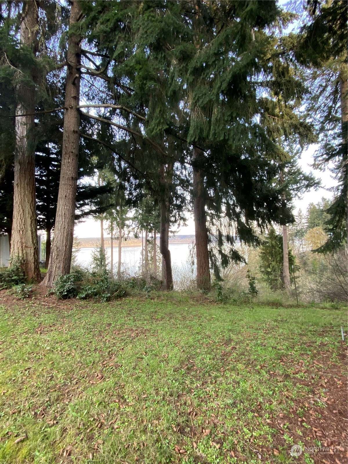 Anderson Island, WA 98303,10911 Seaview DR