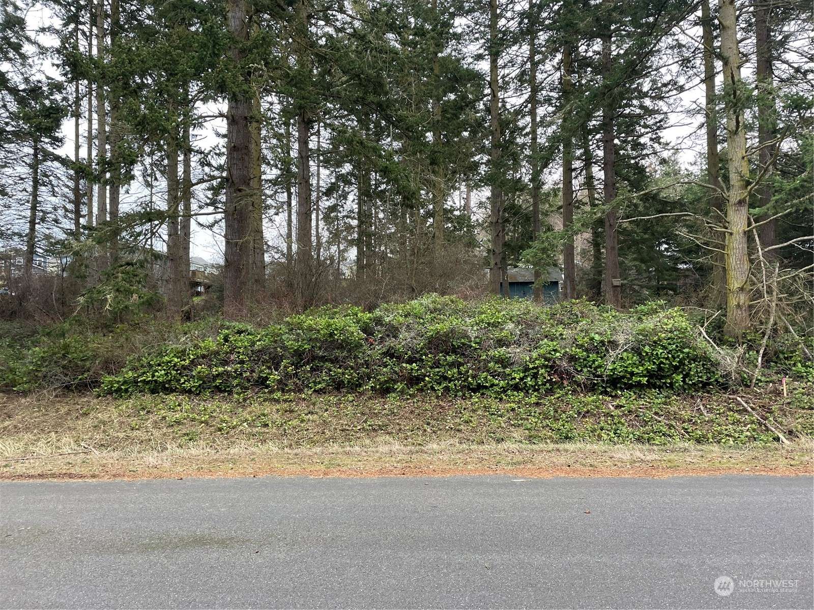 Coupeville, WA 98239,9999 Palisades DR