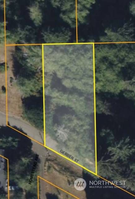 Raymond, WA 98577,0 XXX Gerber AVE