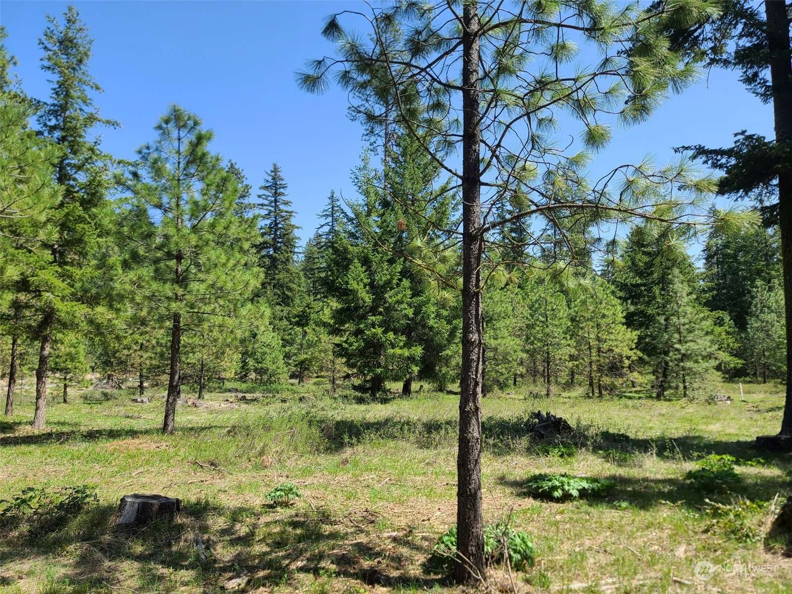 Cle Elum, WA 98922,65 Wanawish LOOP