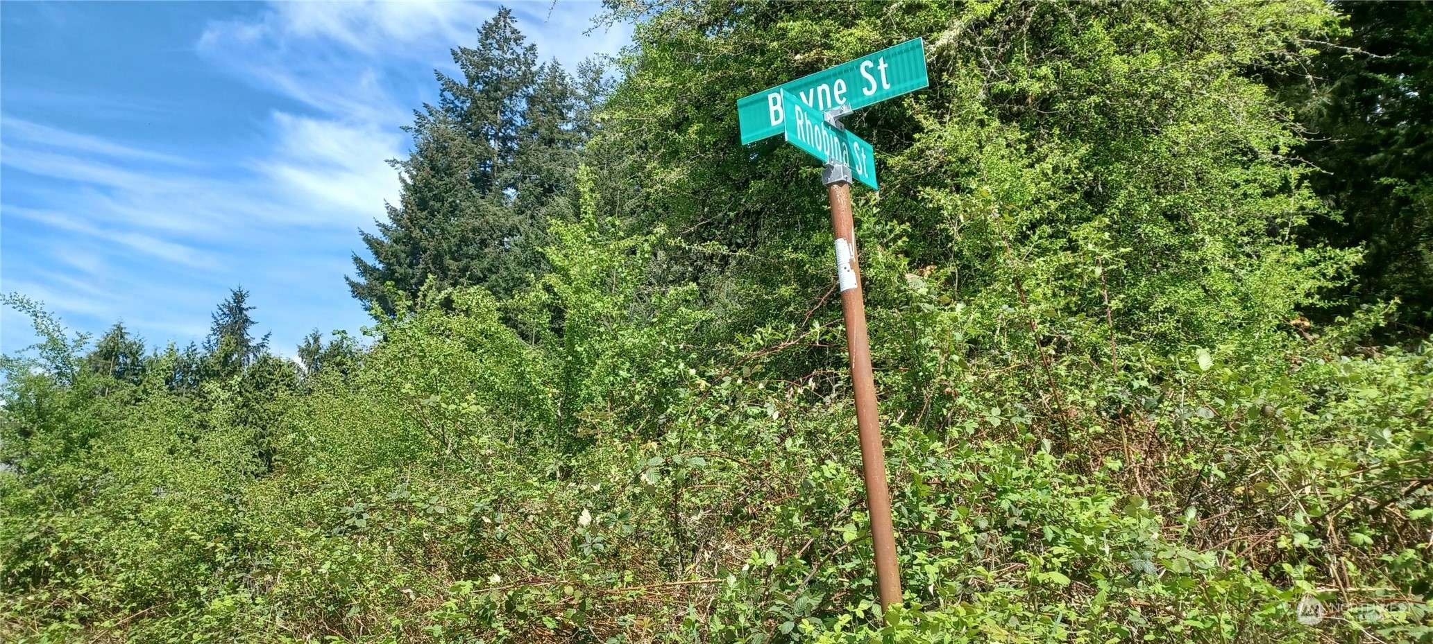 Centralia, WA 98531,0 xxx Rhobina ST