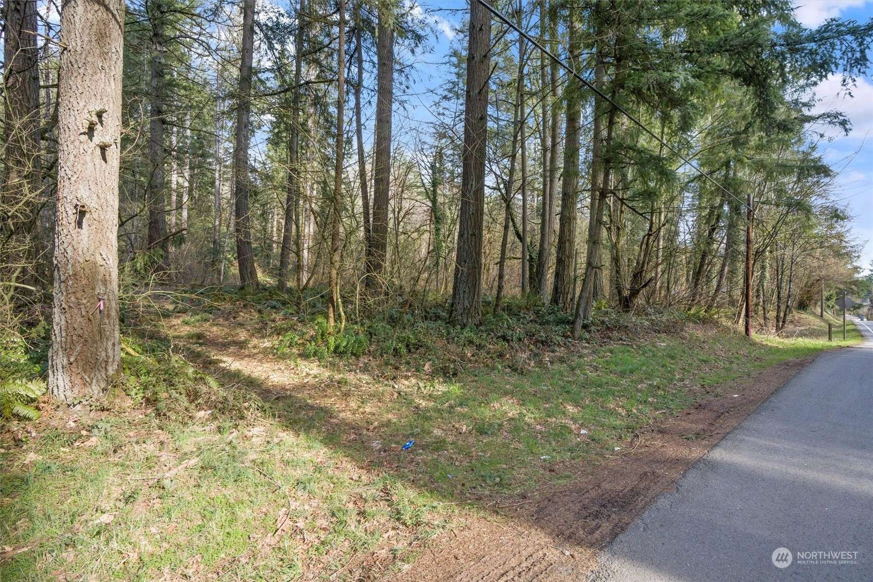 Issaquah, WA 98027,15240 Issaquah-Hobart RD SE