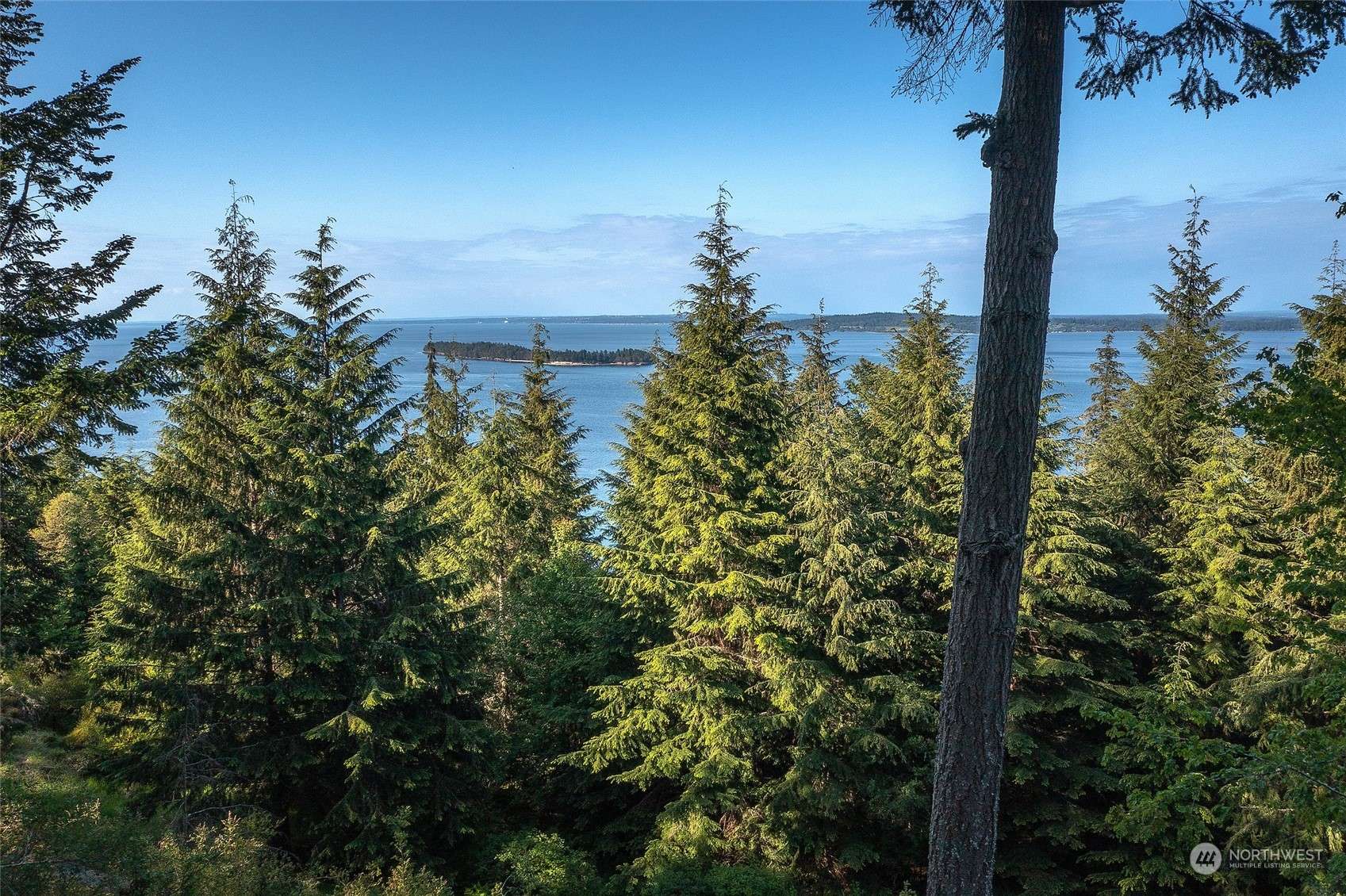 Orcas Island, WA 98279,41 Raven LN