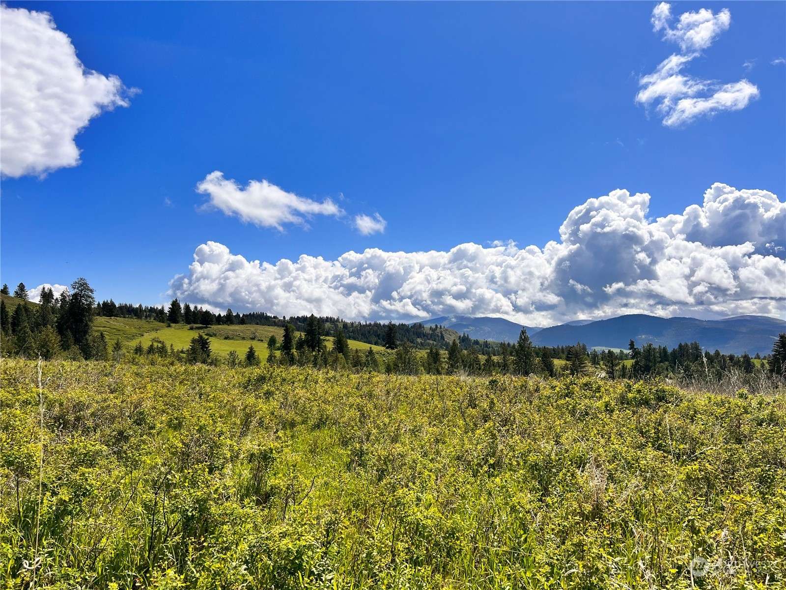 Curlew, WA 99118,27 Moonlight DR